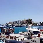 Sunflower Larnaca